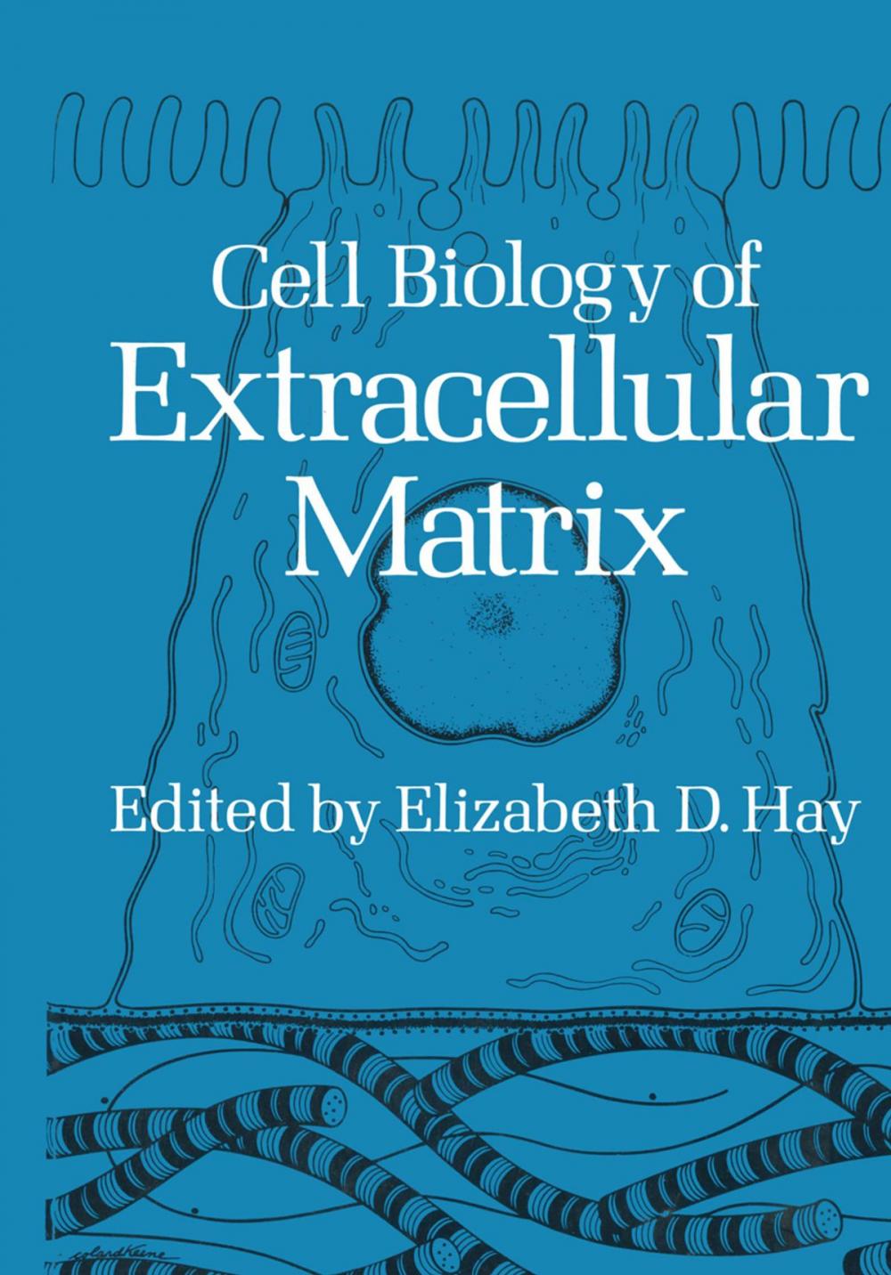 Big bigCover of Cell Biology of Extracellular Matrix