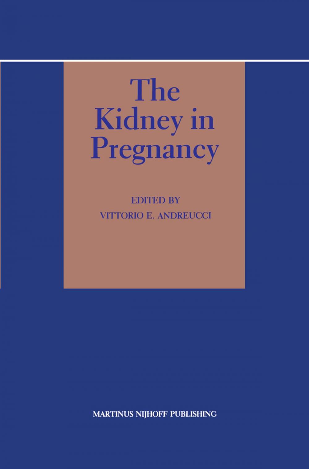 Big bigCover of The Kidney in Pregnancy