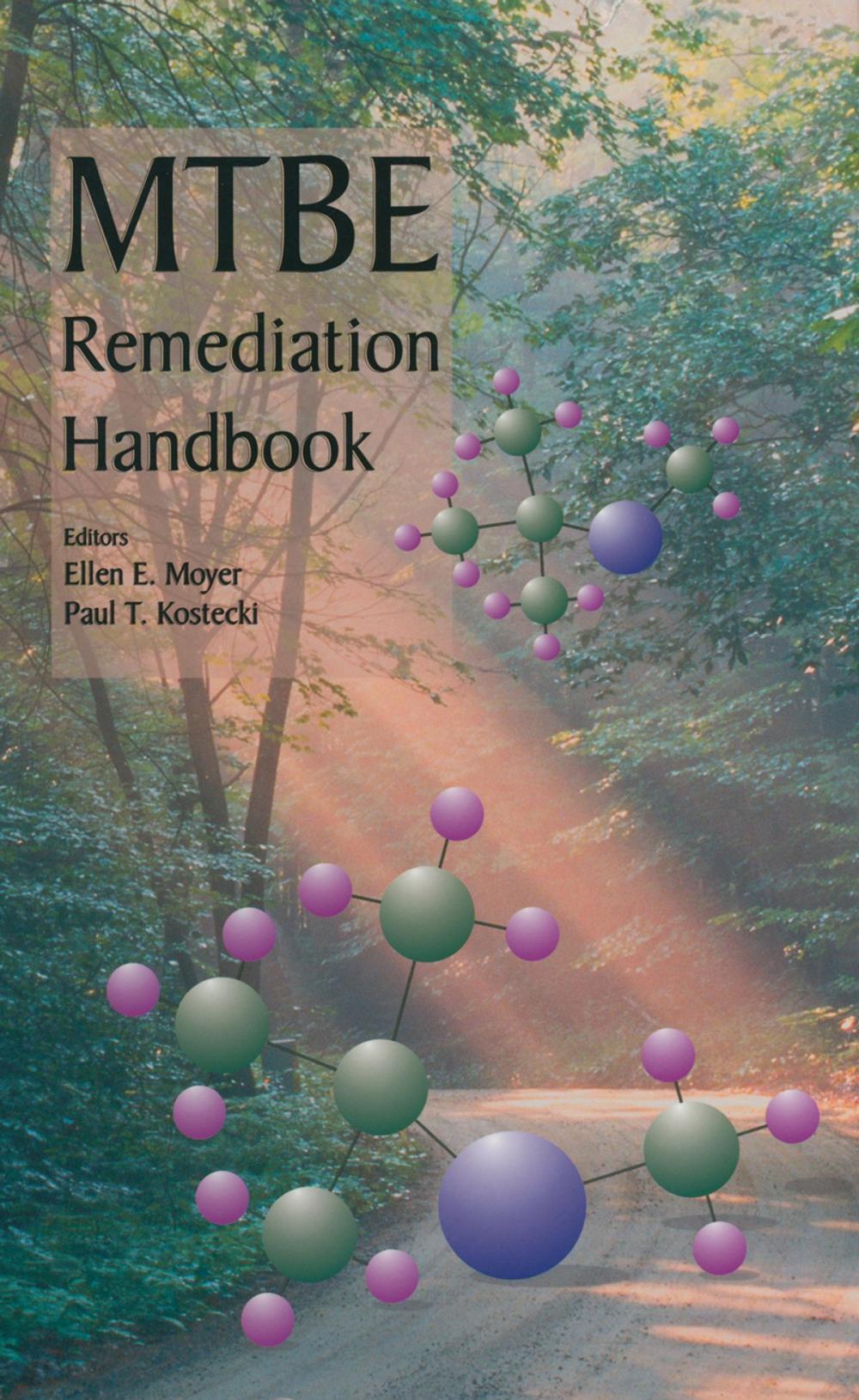 Big bigCover of MTBE Remediation Handbook