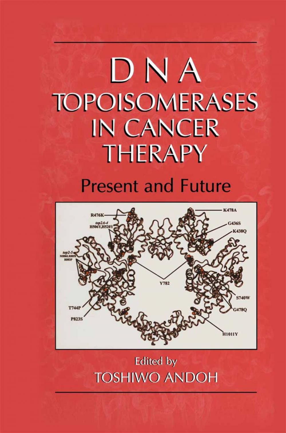 Big bigCover of DNA Topoisomerases in Cancer Therapy