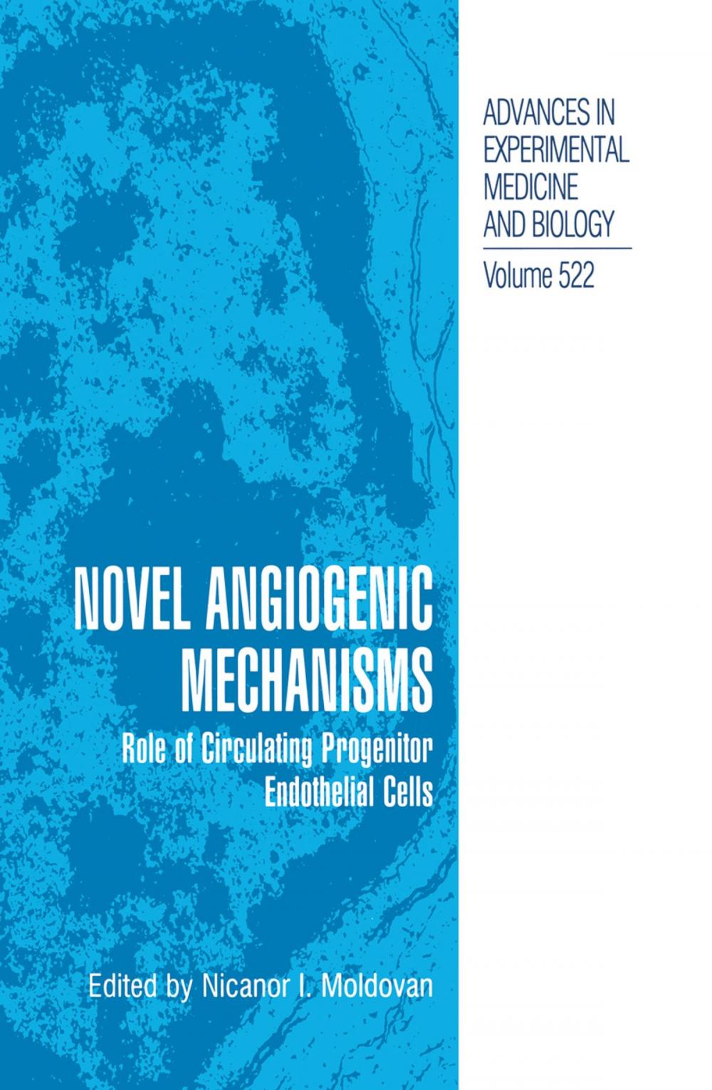 Big bigCover of Novel Angiogenic Mechanisms