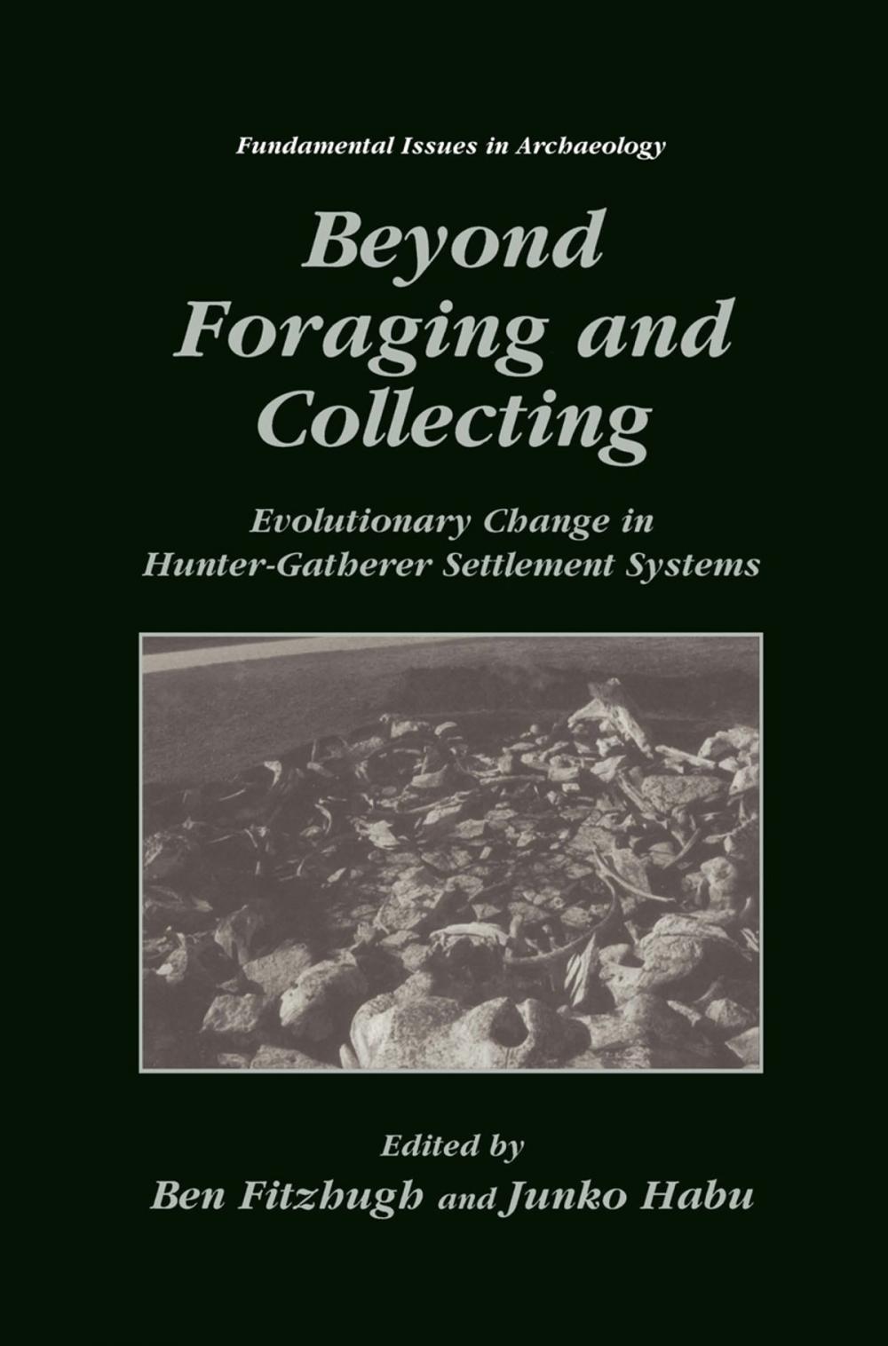 Big bigCover of Beyond Foraging and Collecting