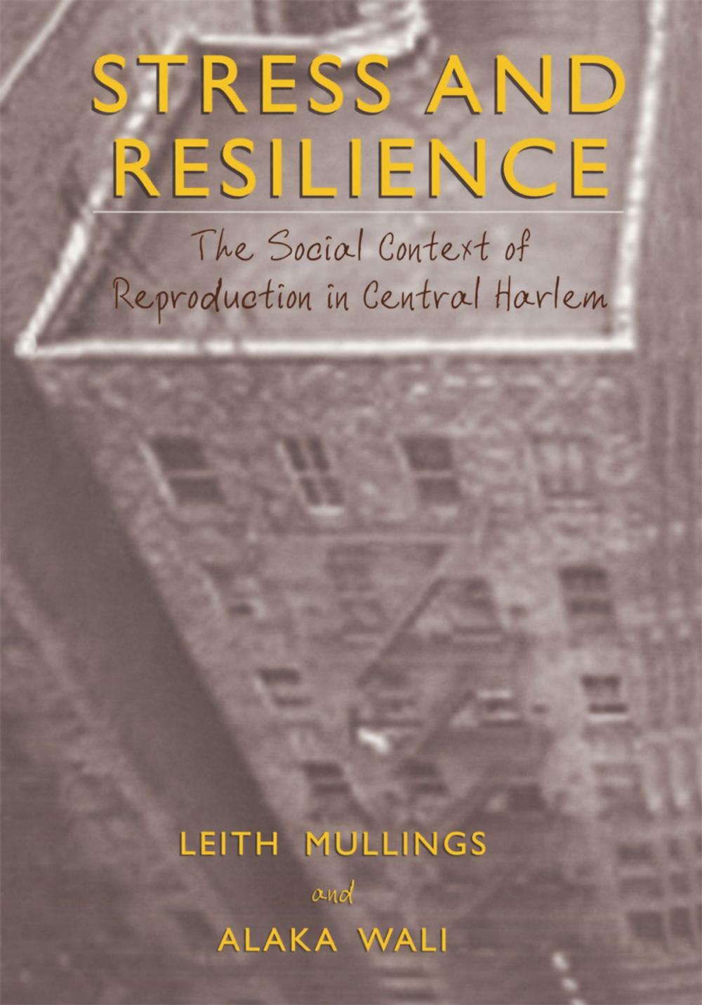 Big bigCover of Stress and Resilience