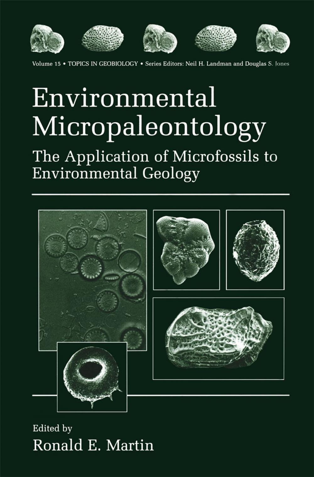 Big bigCover of Environmental Micropaleontology