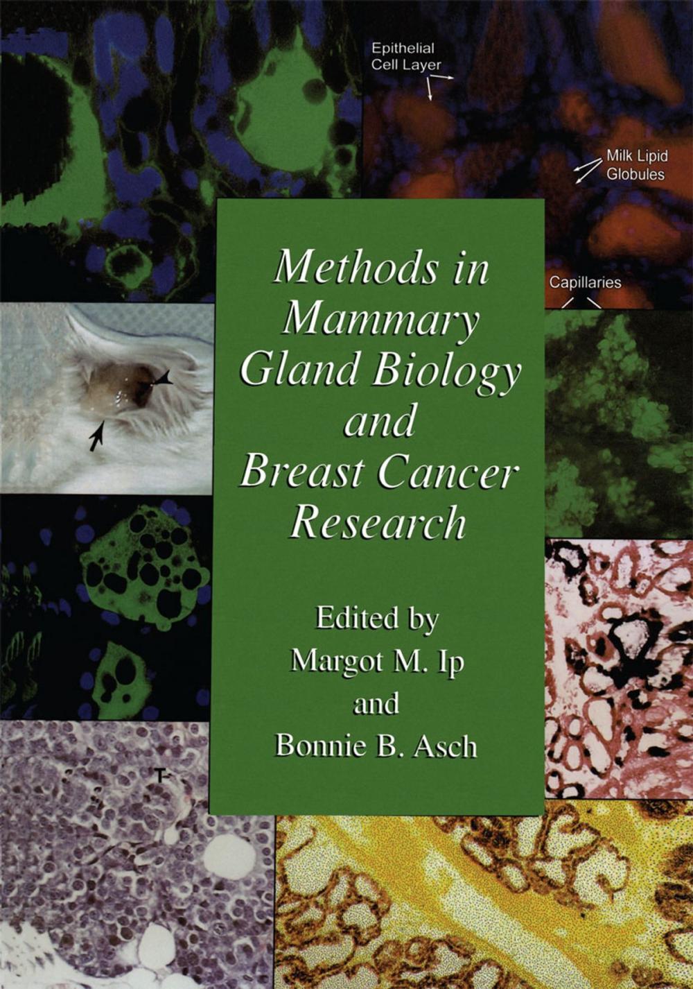 Big bigCover of Methods in Mammary Gland Biology and Breast Cancer Research