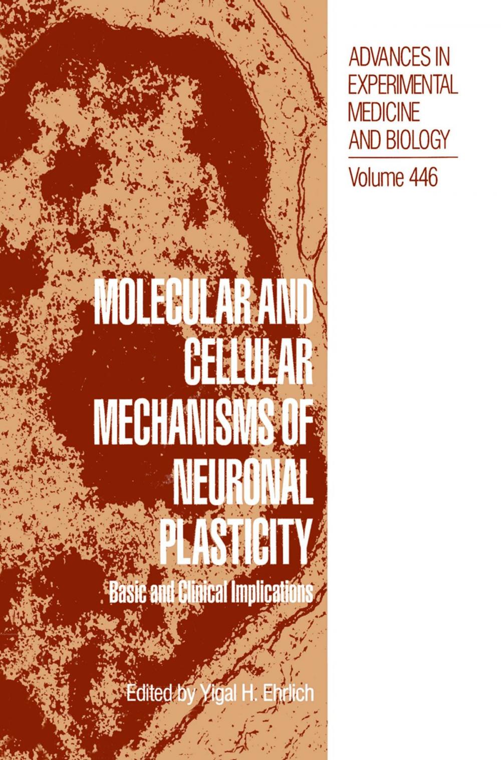 Big bigCover of Molecular and Cellular Mechanisms of Neuronal Plasticity