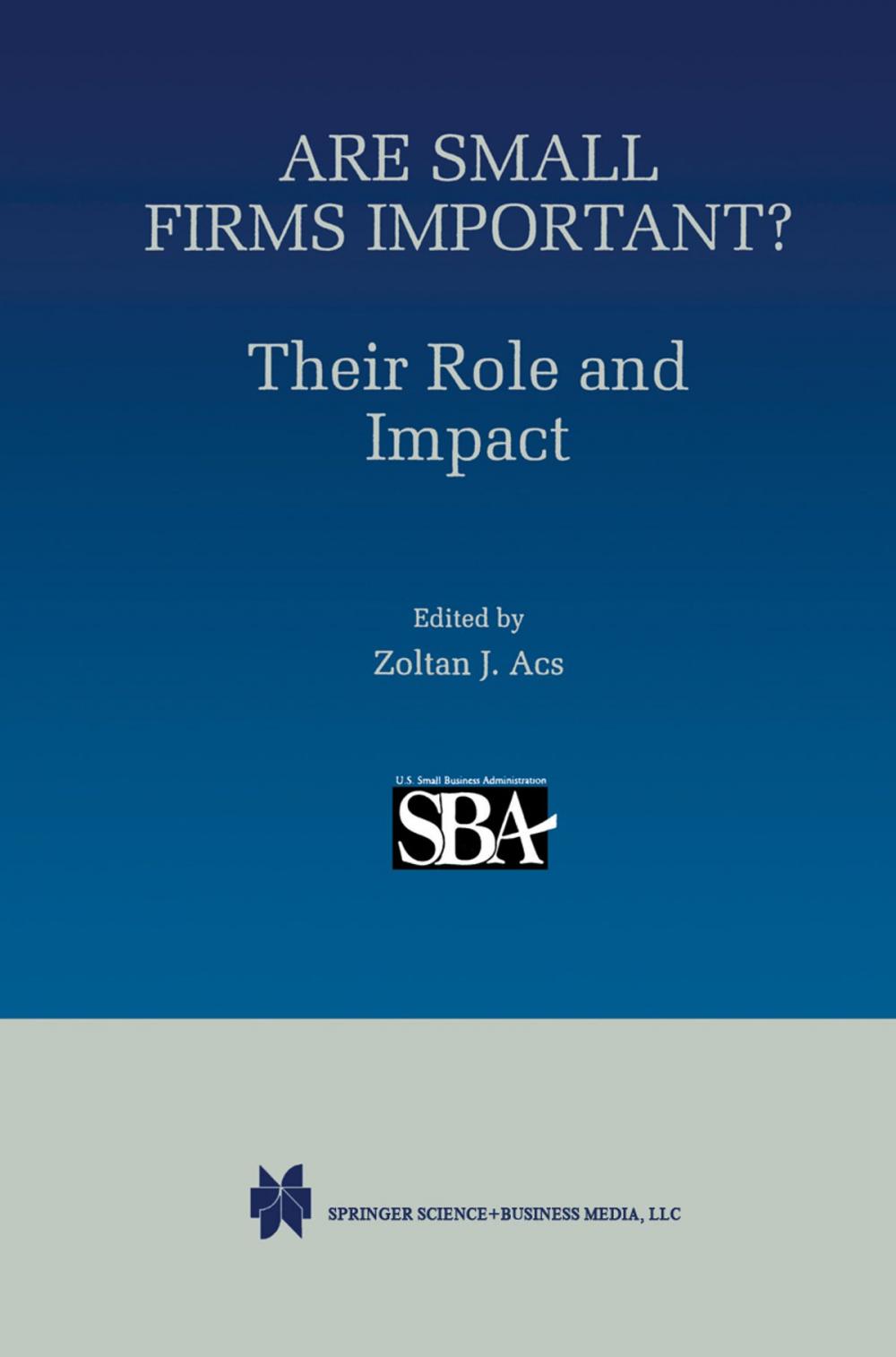 Big bigCover of Are Small Firms Important? Their Role and Impact