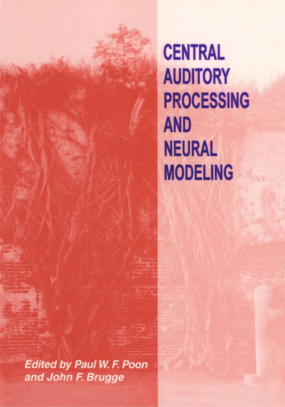 Big bigCover of Central Auditory Processing and Neural Modeling