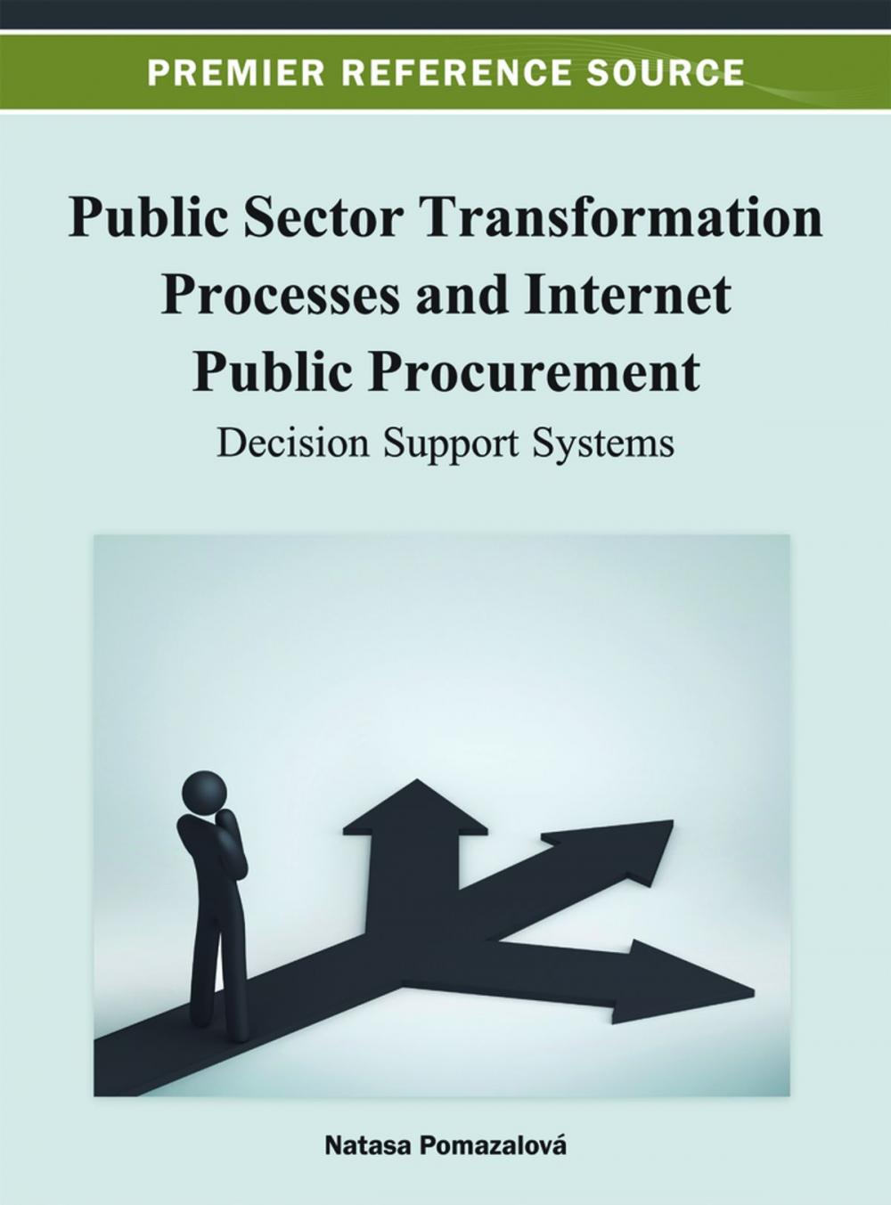 Big bigCover of Public Sector Transformation Processes and Internet Public Procurement