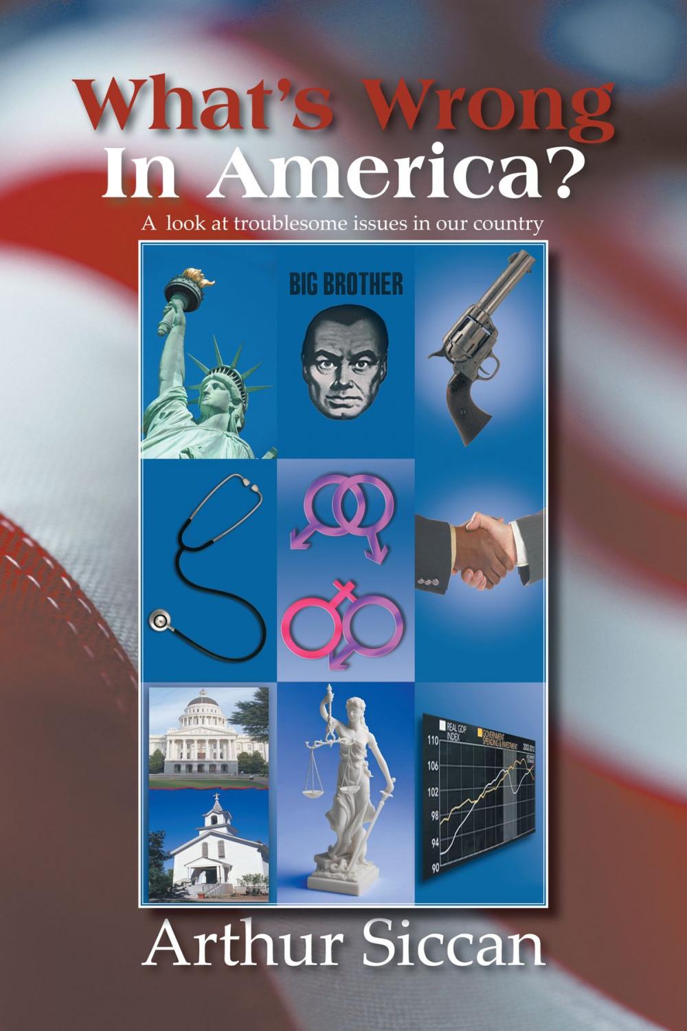 Big bigCover of What's Wrong in America?