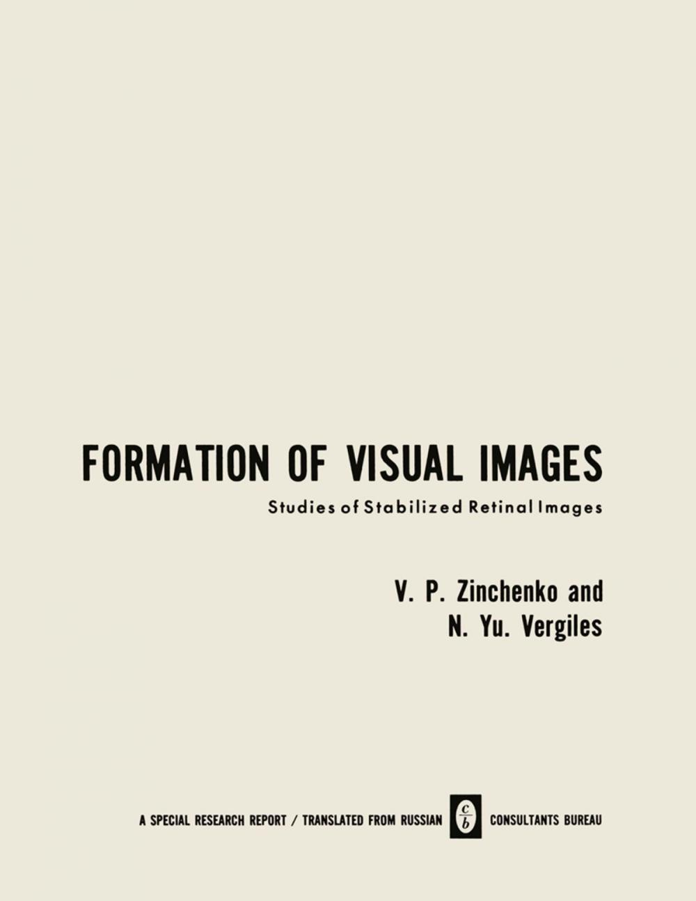 Big bigCover of Formation of Visual Images