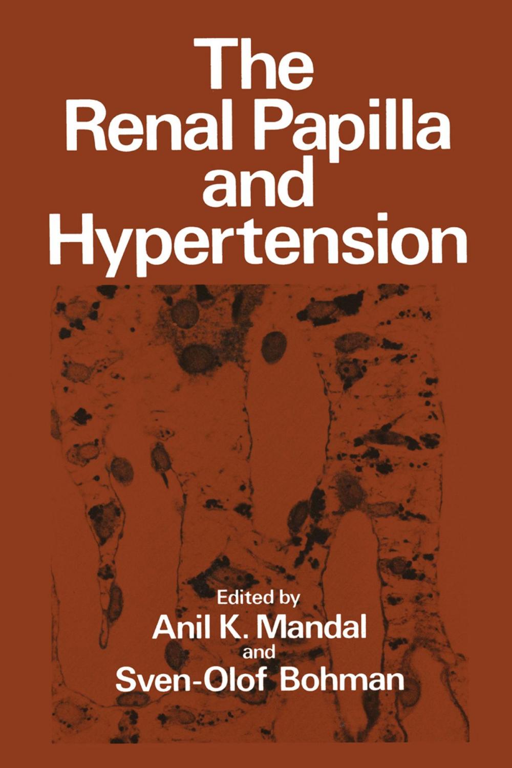 Big bigCover of The Renal Papilla and Hypertension