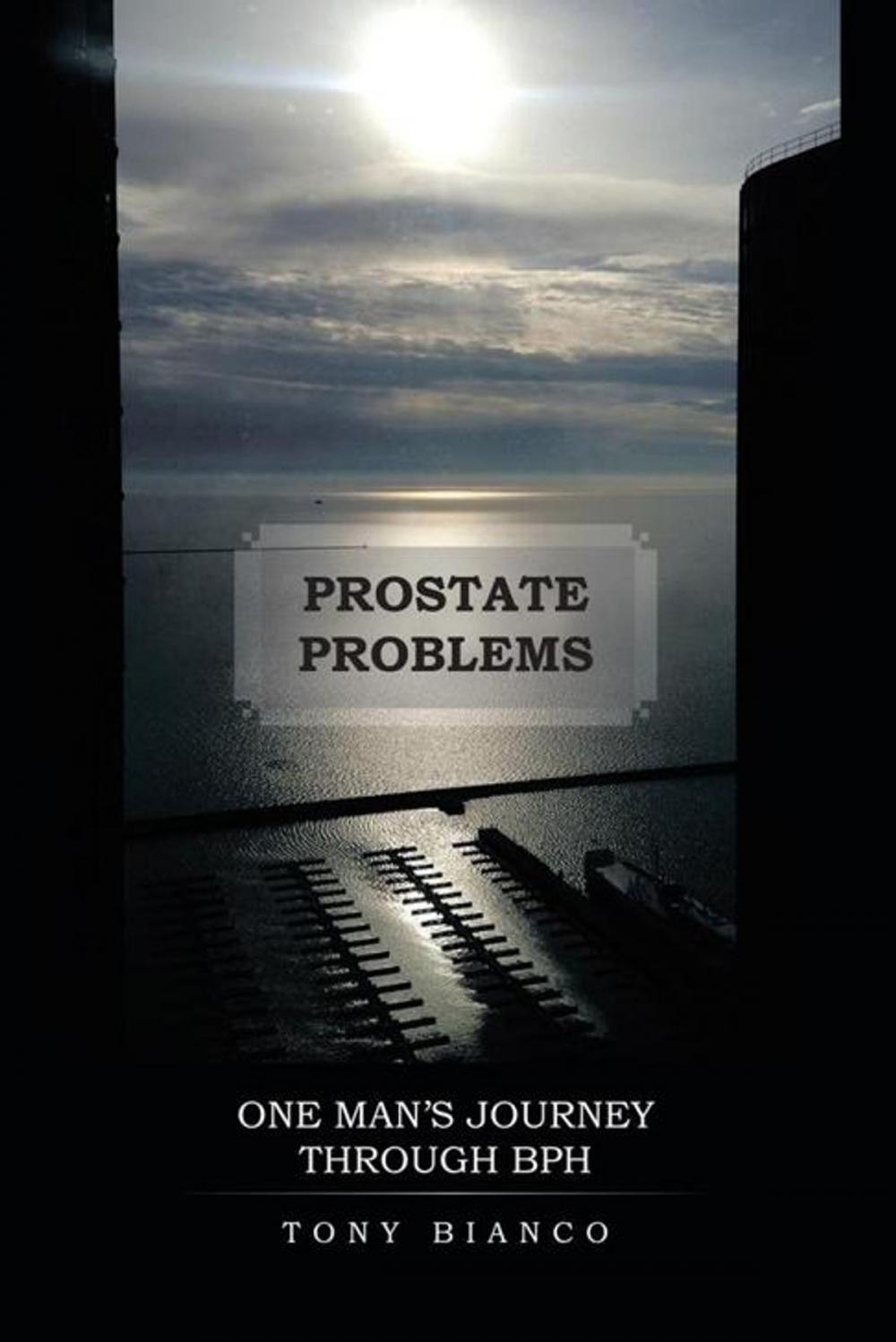 Big bigCover of Prostate Problems