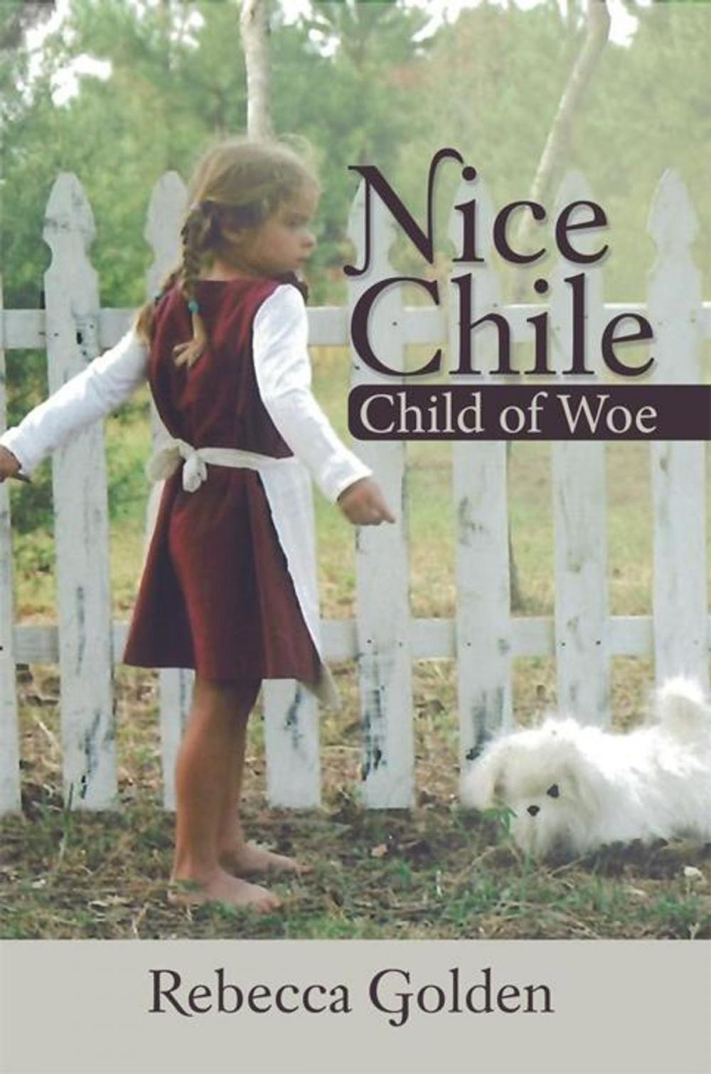 Big bigCover of Nice Chile