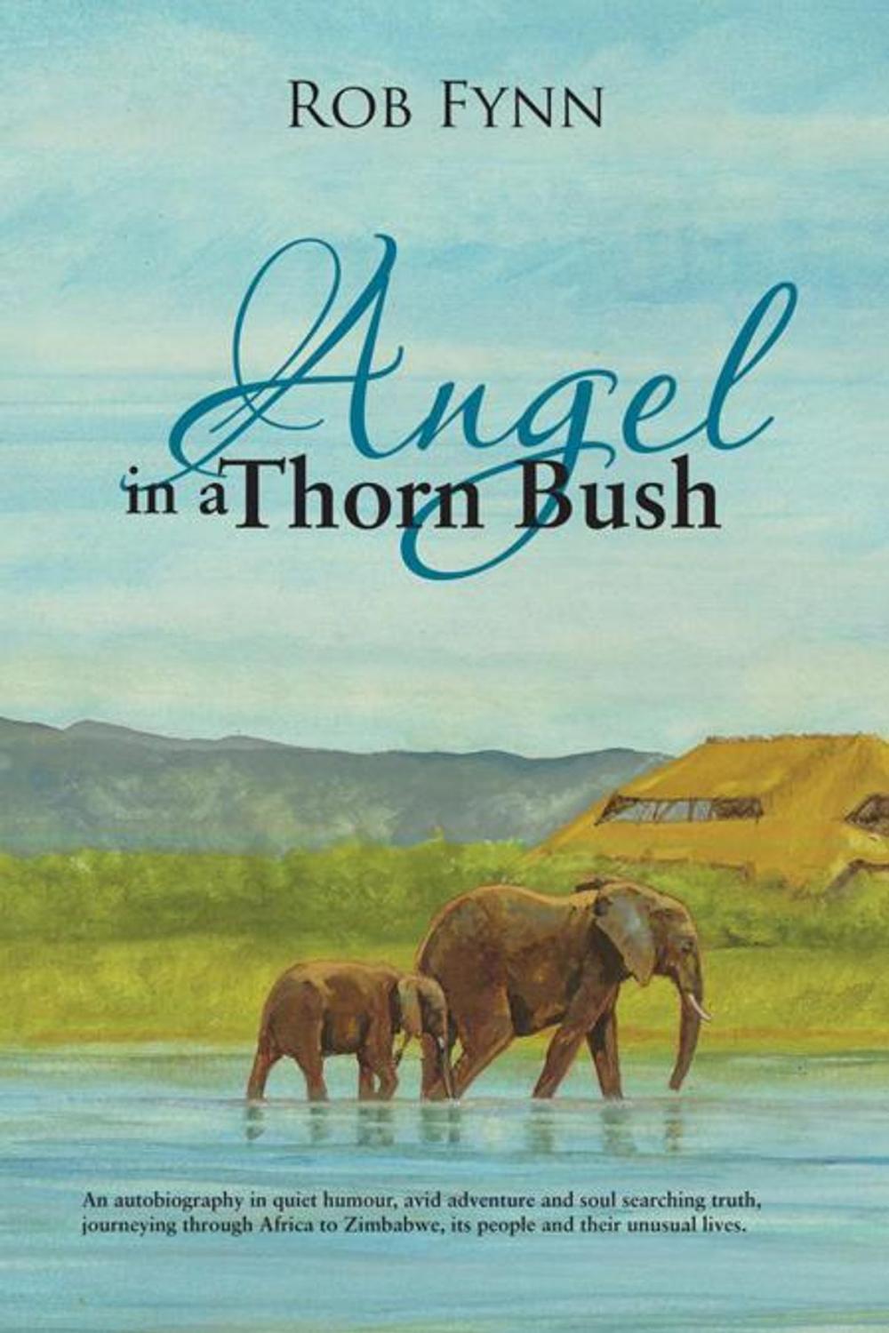 Big bigCover of Angel in a Thorn Bush