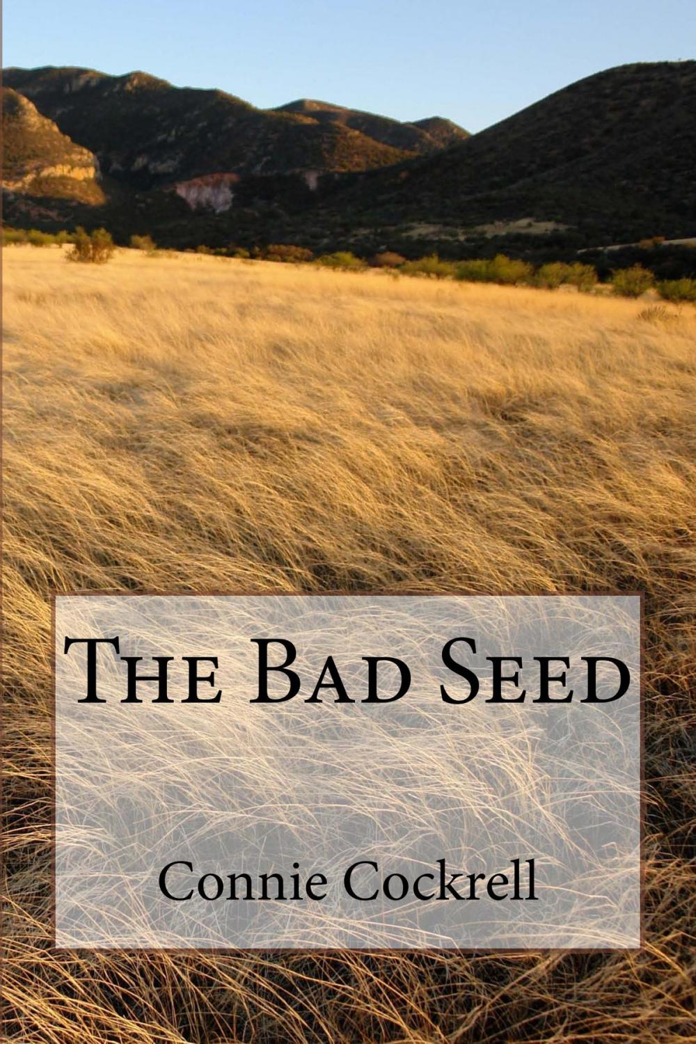 Big bigCover of The Bad Seed