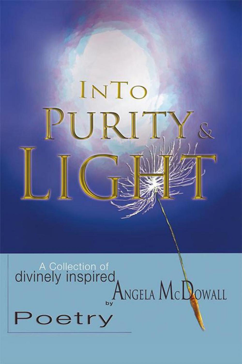 Big bigCover of Into Purity & Light