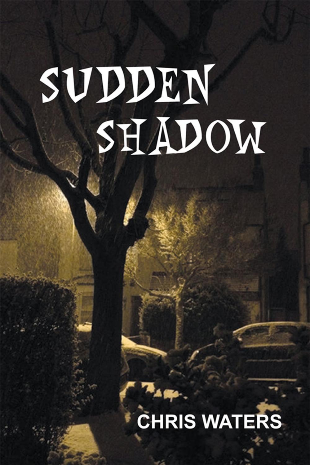 Big bigCover of Sudden Shadow