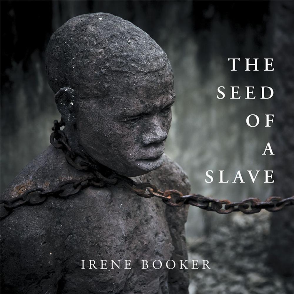 Big bigCover of The Seed of a Slave