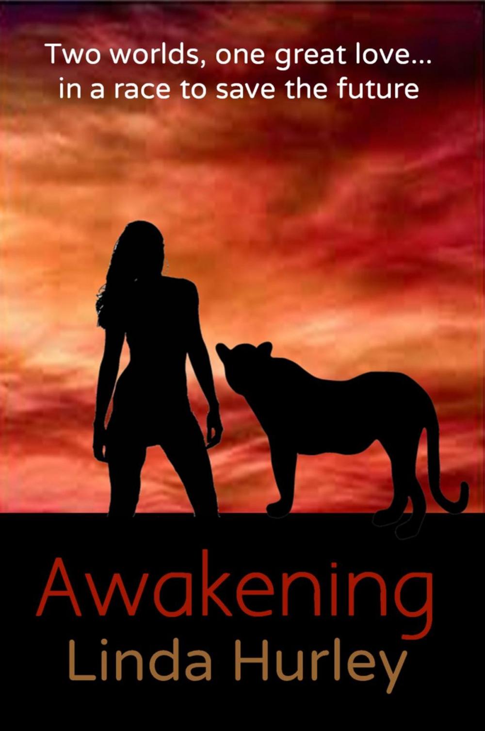 Big bigCover of Awakening