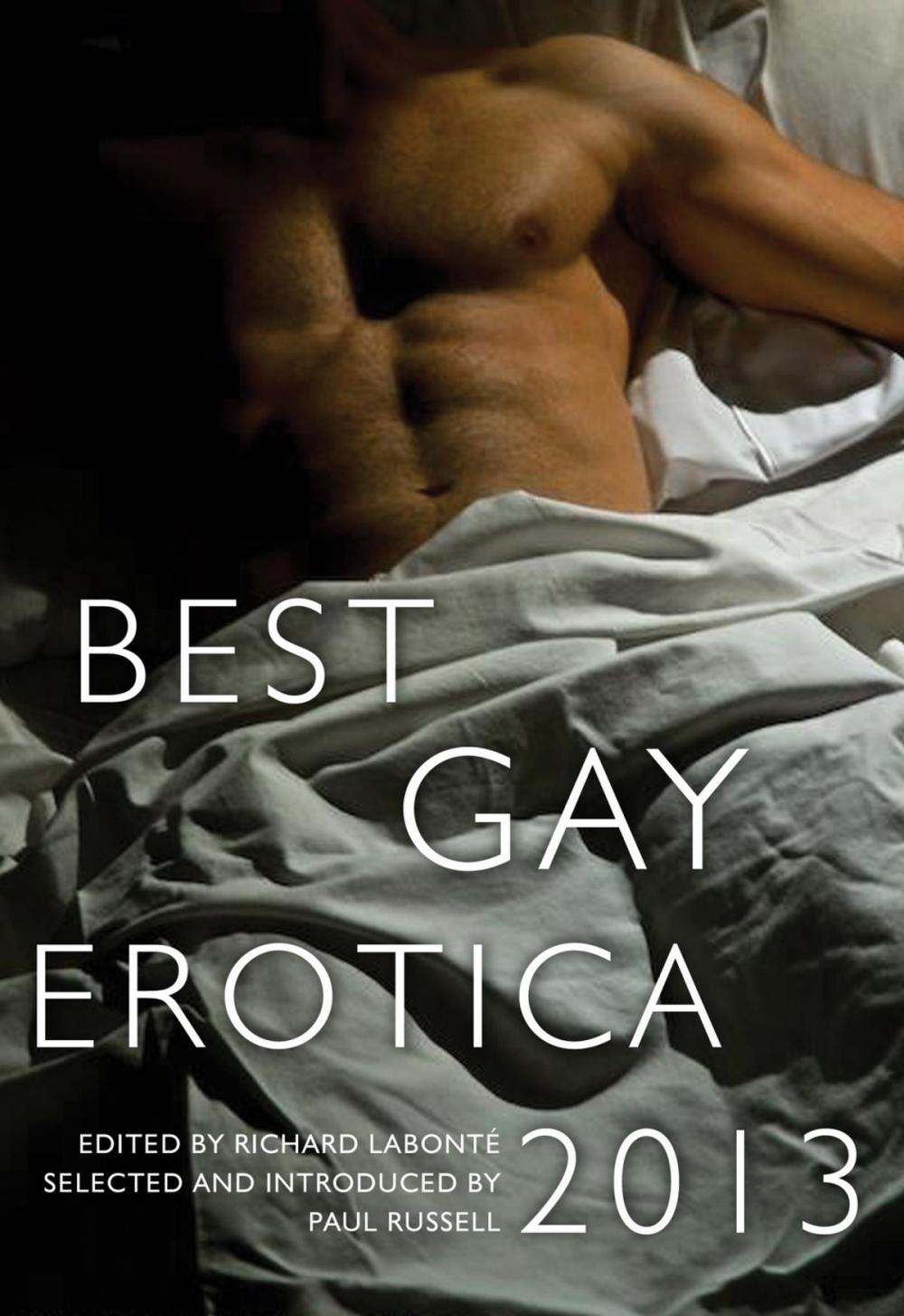 Big bigCover of Best Gay Erotica 2013