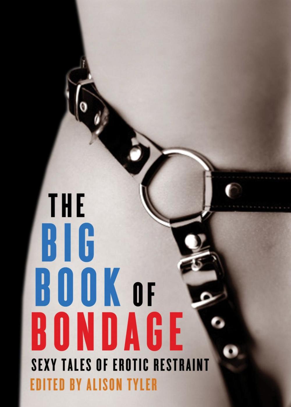 Big bigCover of The Big Book of Bondage