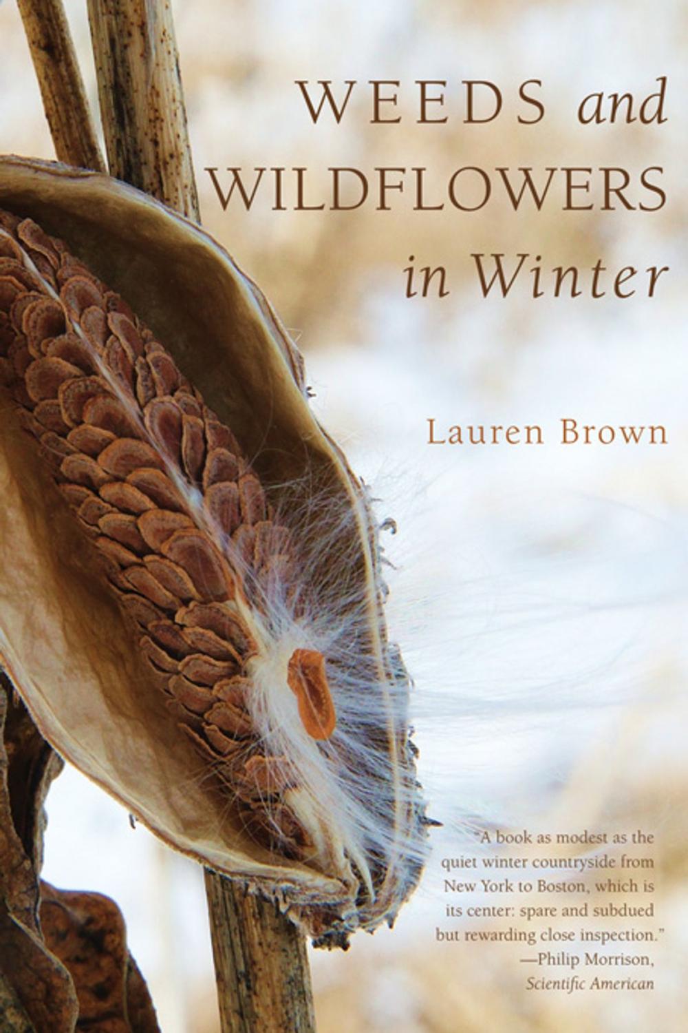 Big bigCover of Weeds and Wildflowers in Winter