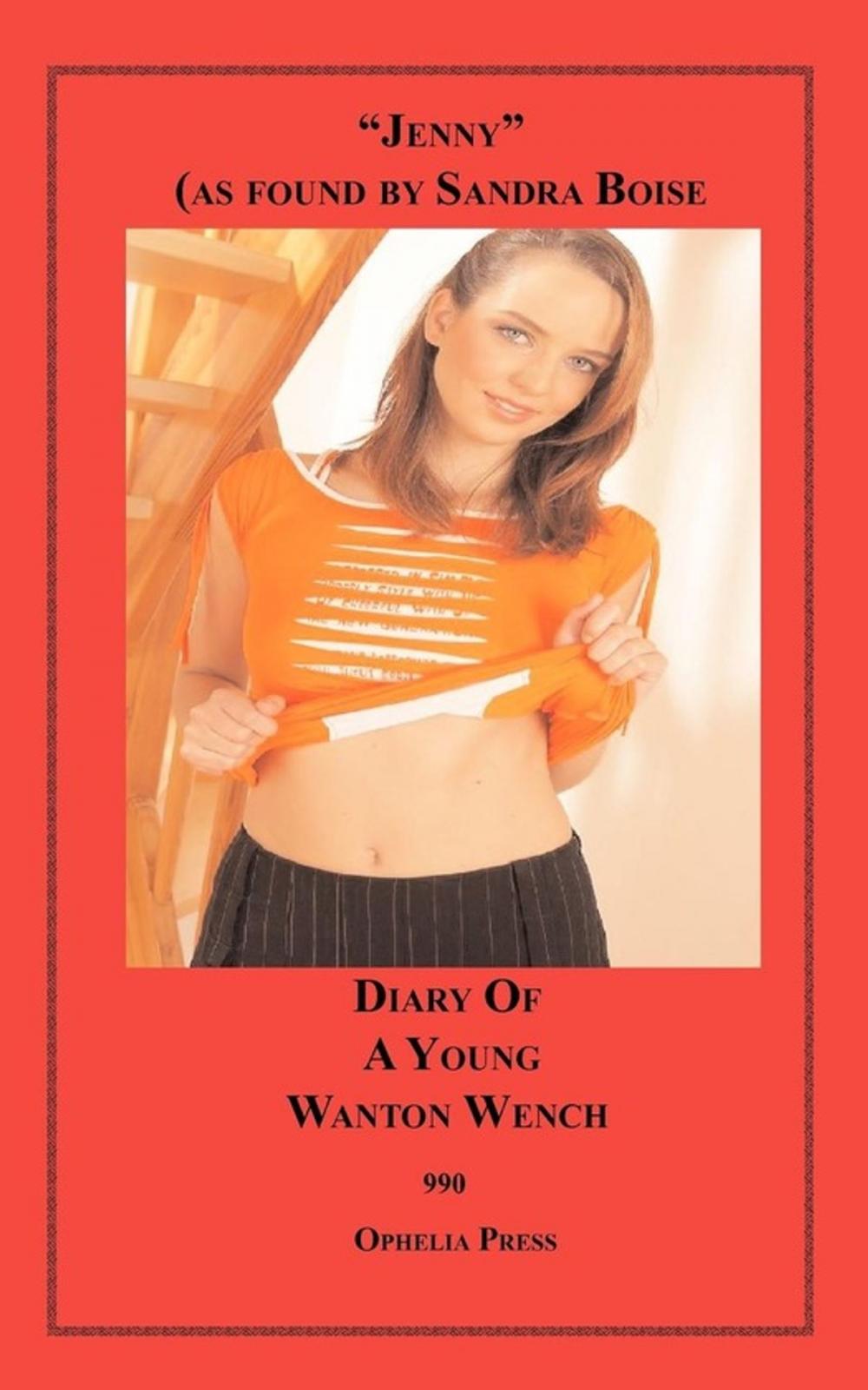 Big bigCover of Diary of a Young Wanton Wench