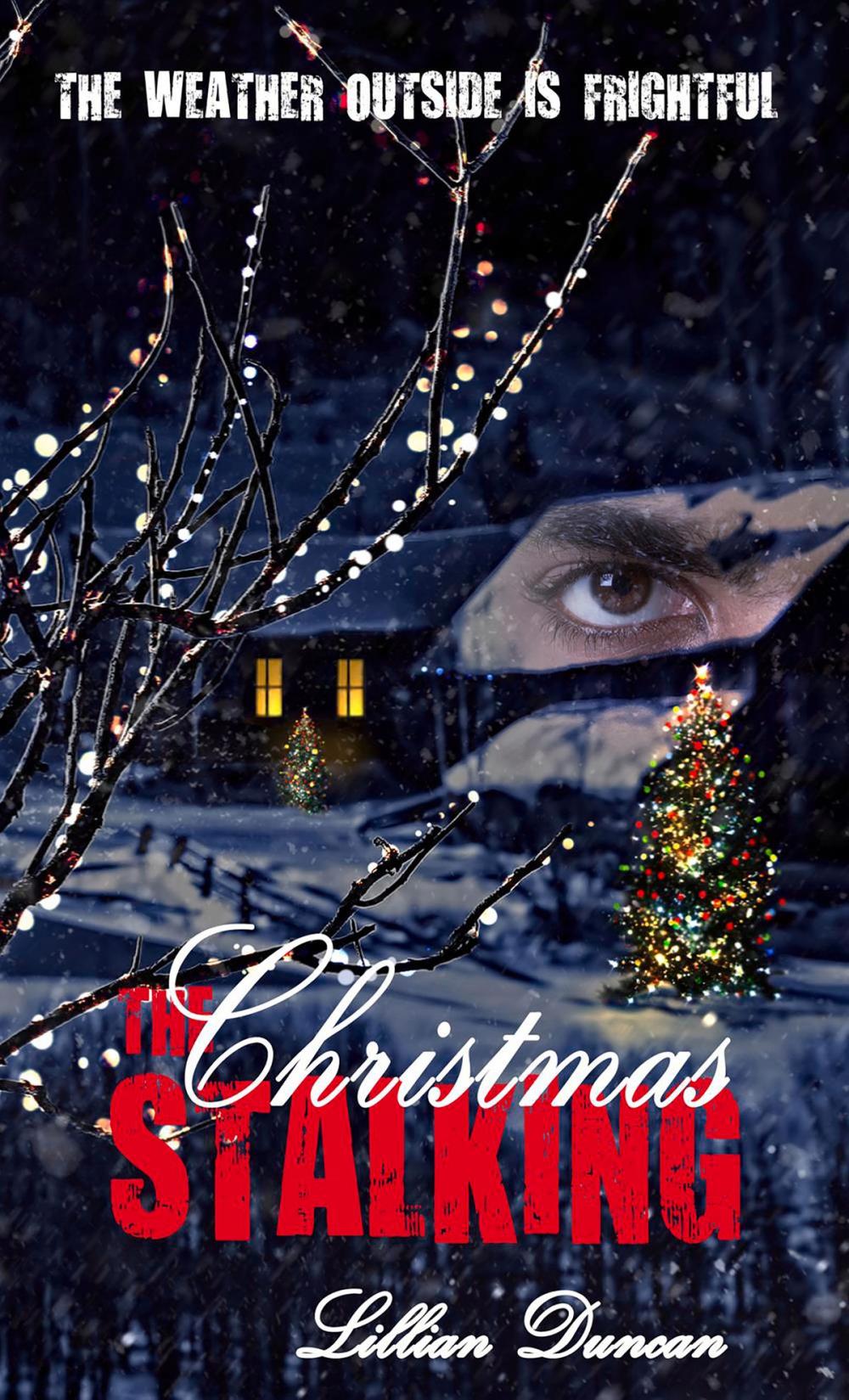 Big bigCover of Christmas Stalking