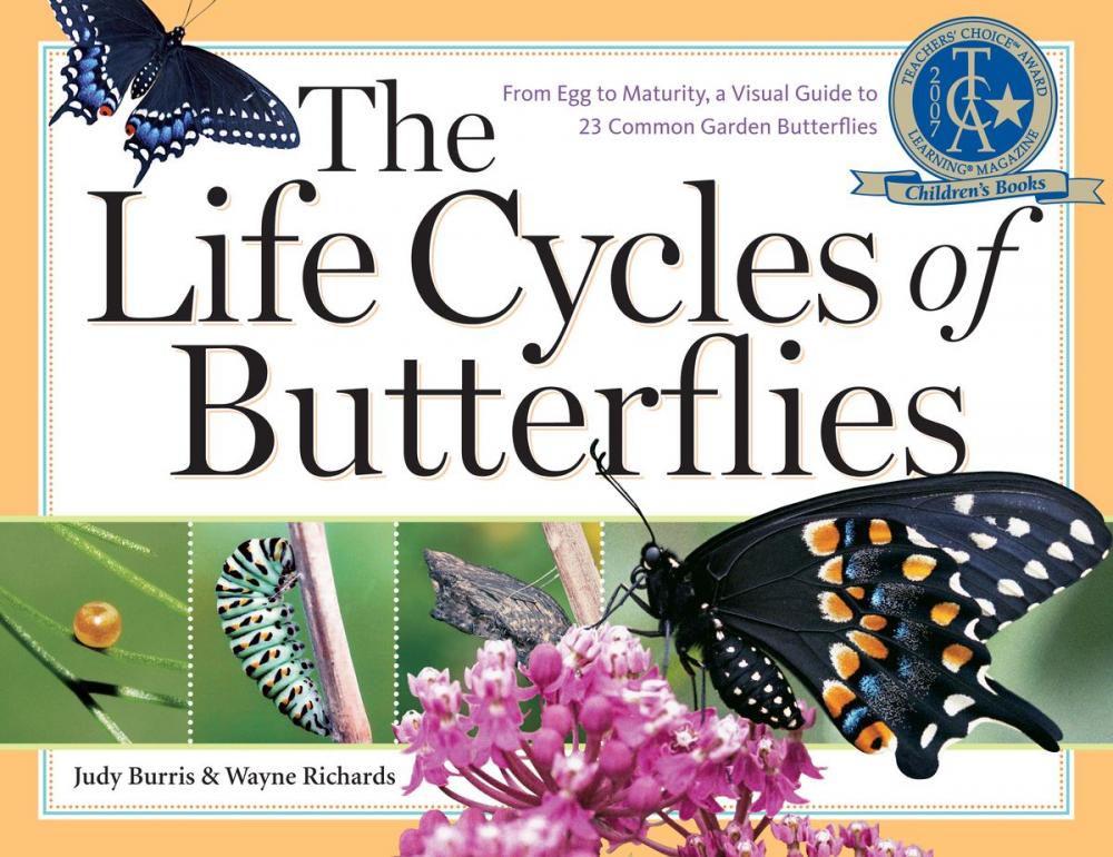 Big bigCover of The Life Cycles of Butterflies