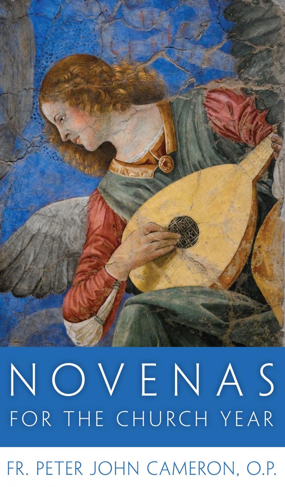 Big bigCover of Novenas for the Church Year