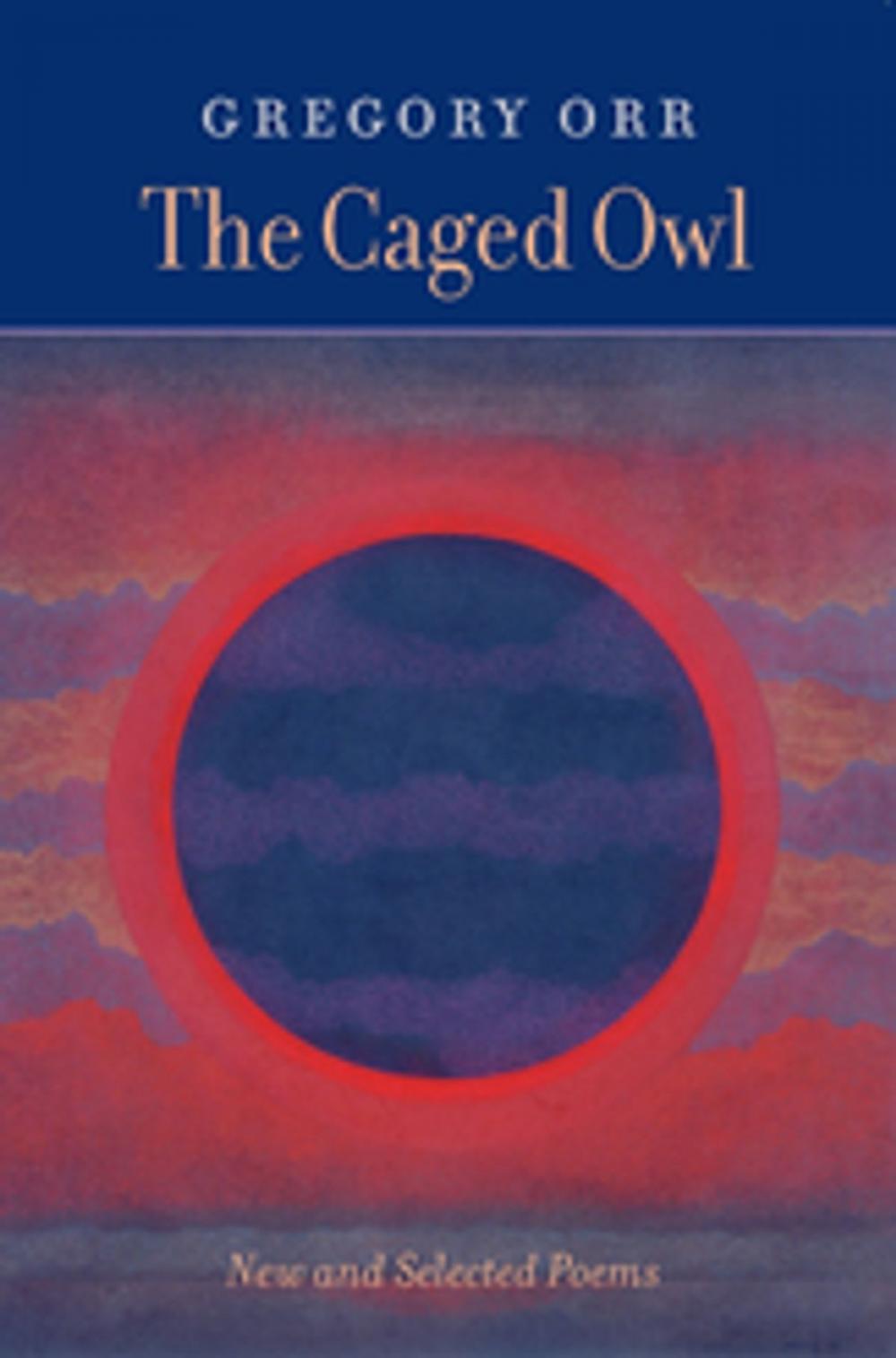 Big bigCover of The Caged Owl