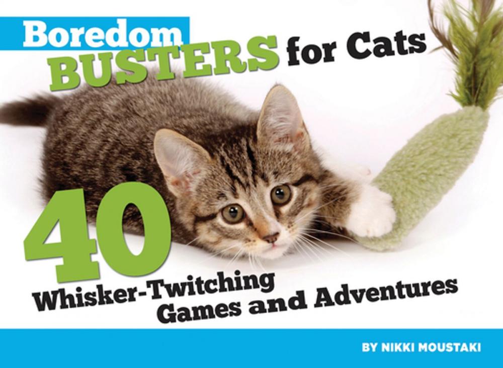 Big bigCover of Boredom Busters for Cats