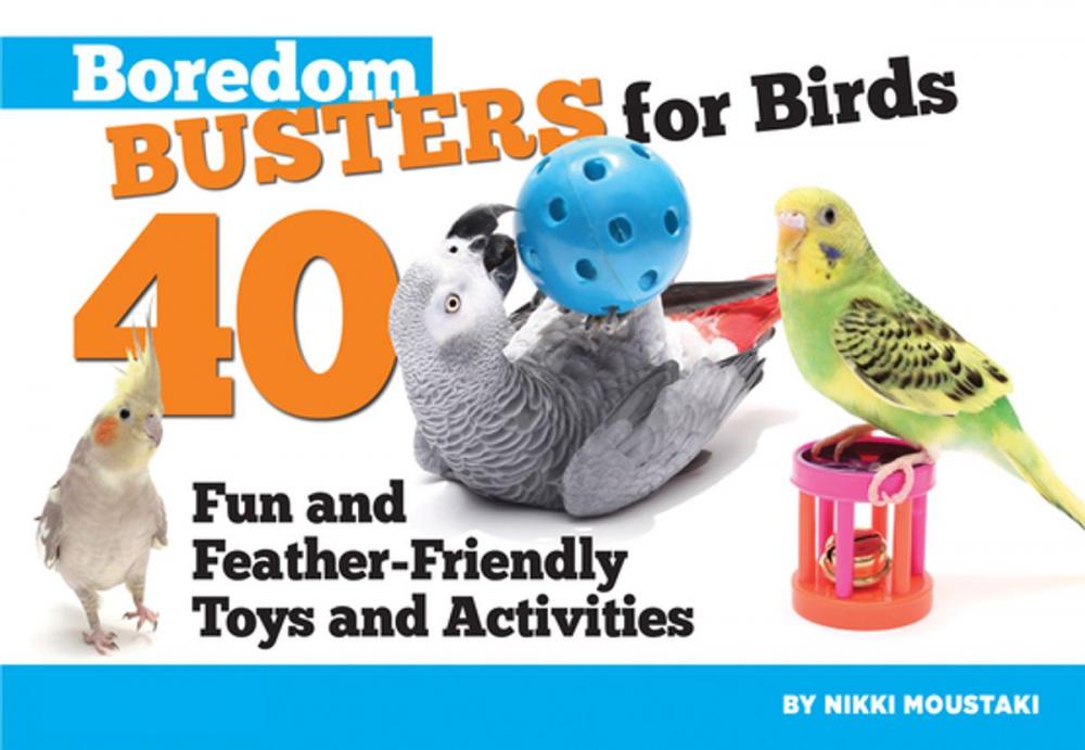 Big bigCover of Boredom Busters for Birds