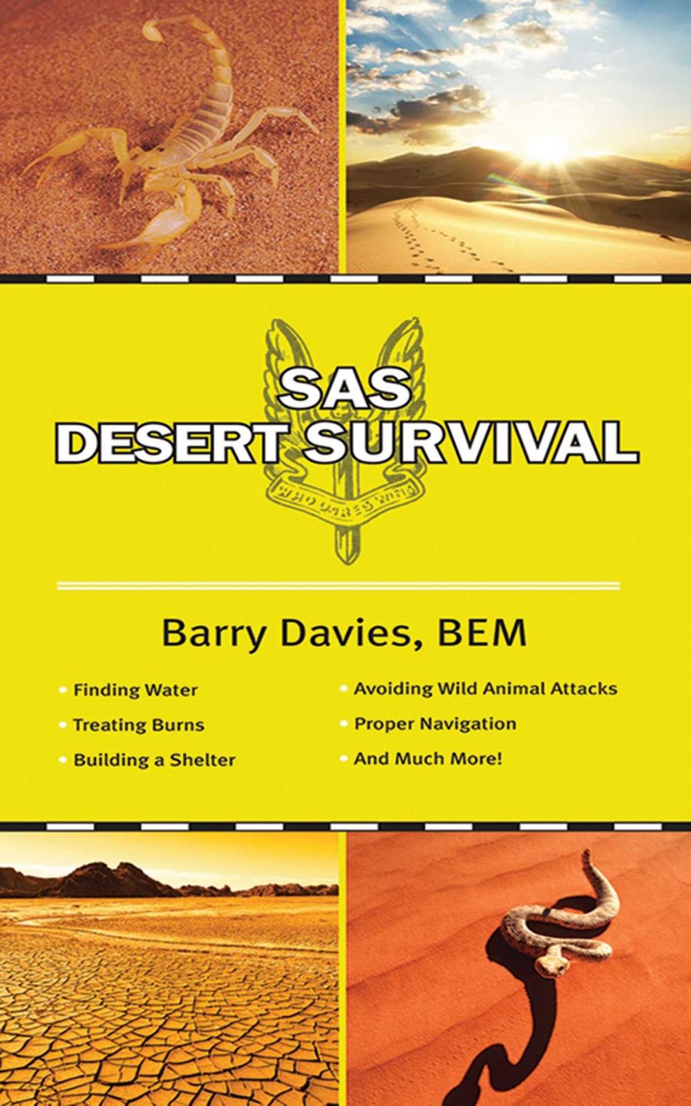 Big bigCover of SAS Desert Survival