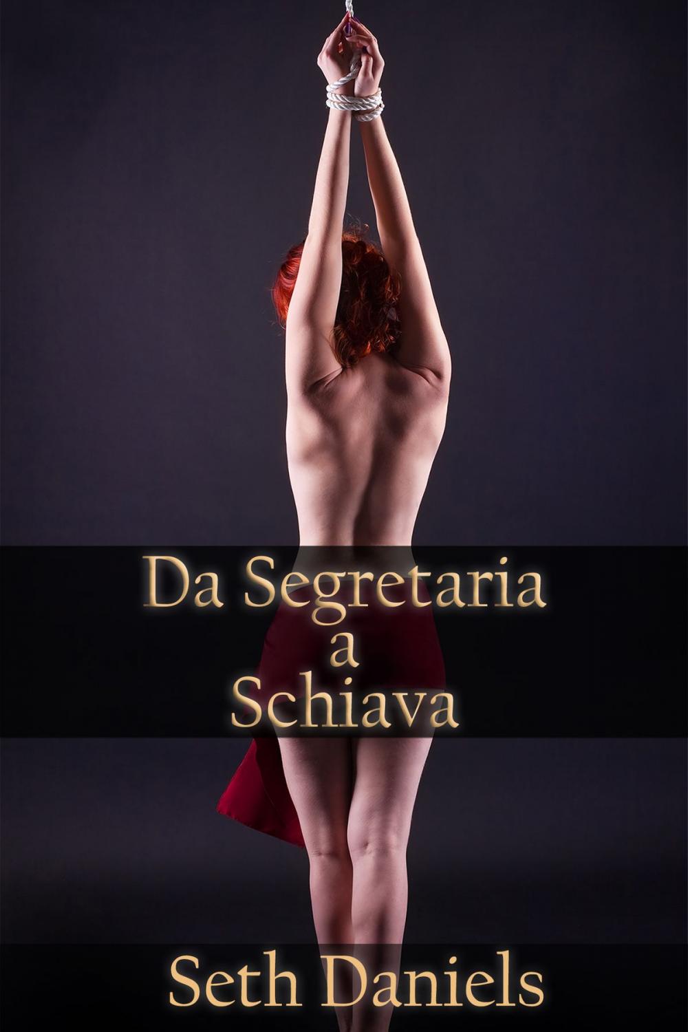 Big bigCover of Da Segretaria a Schiava