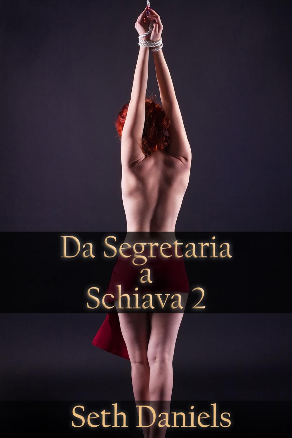 Big bigCover of Da Segretaria a Schiava 2