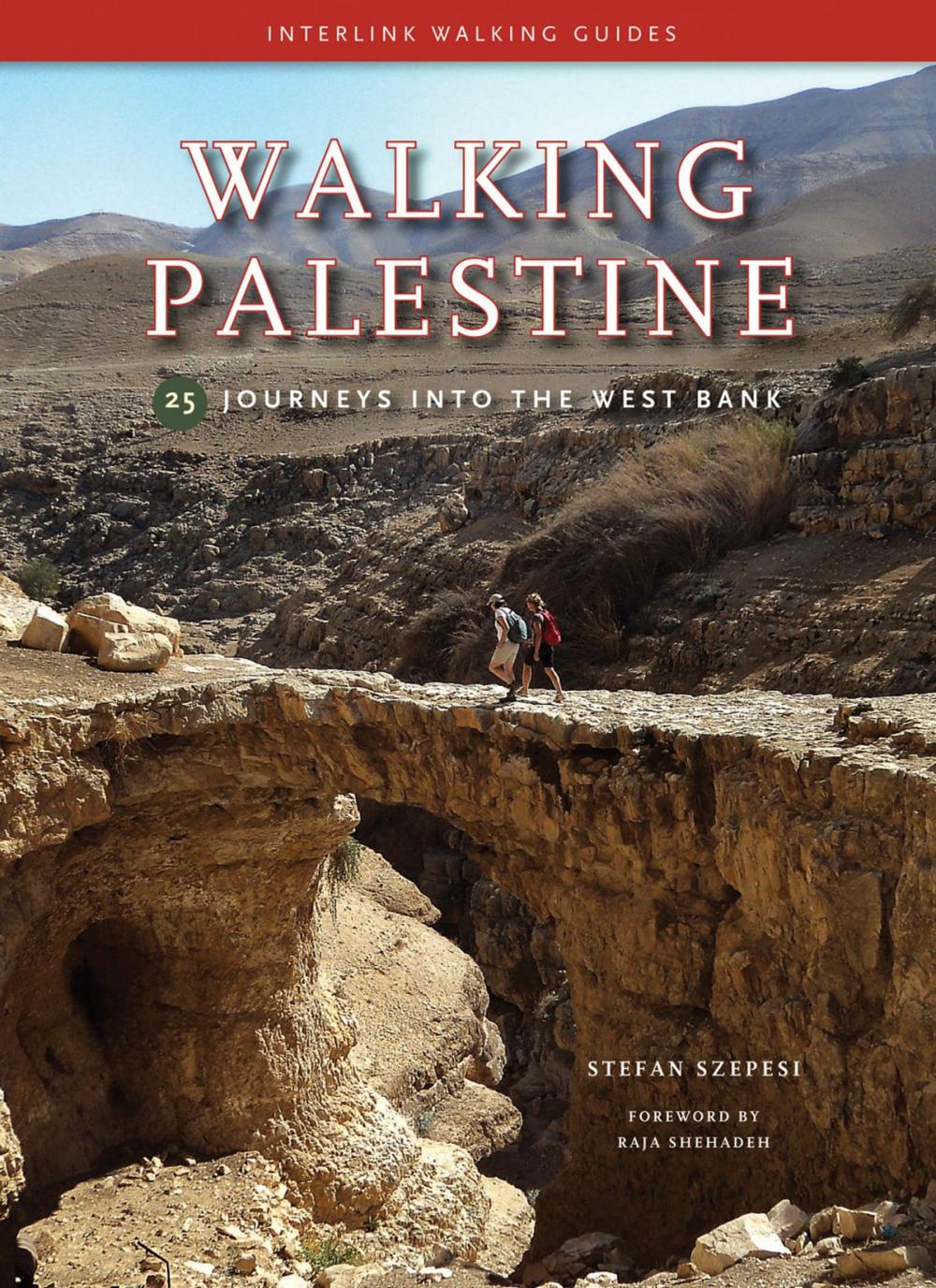 Big bigCover of Walking Palestine