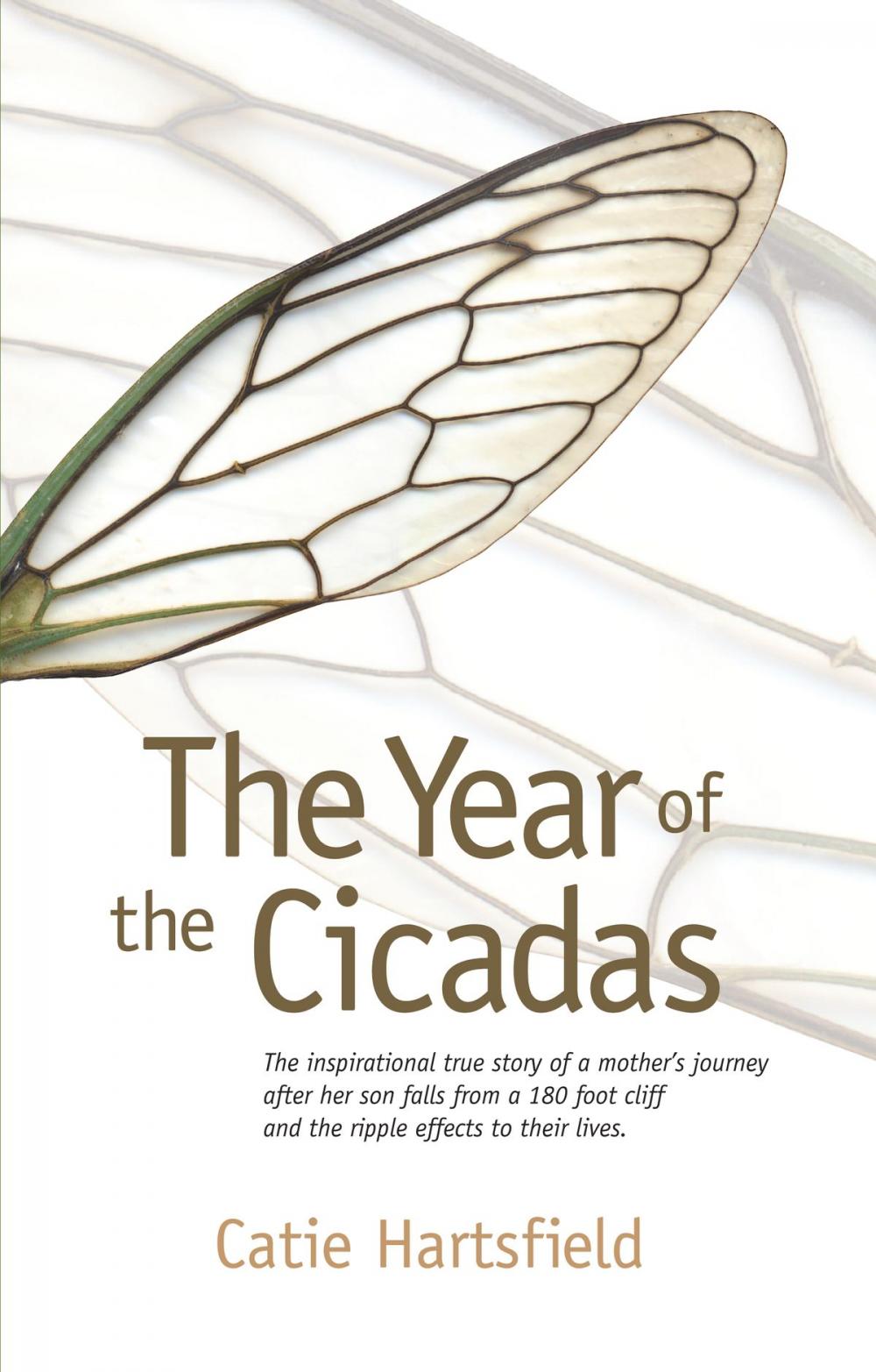 Big bigCover of The Year of the Cicadas