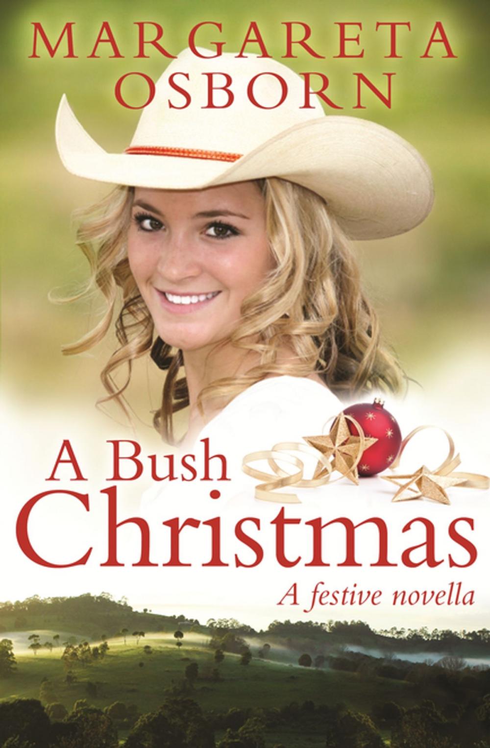 Big bigCover of A Bush Christmas