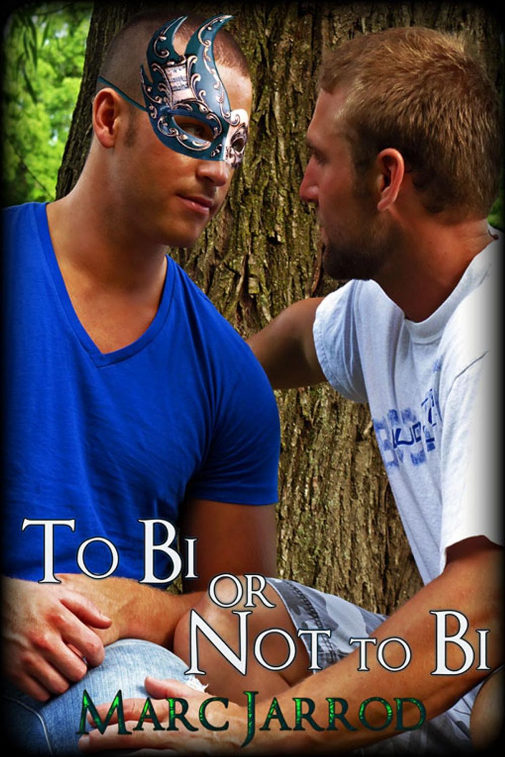 Big bigCover of To Bi or Not to Bi