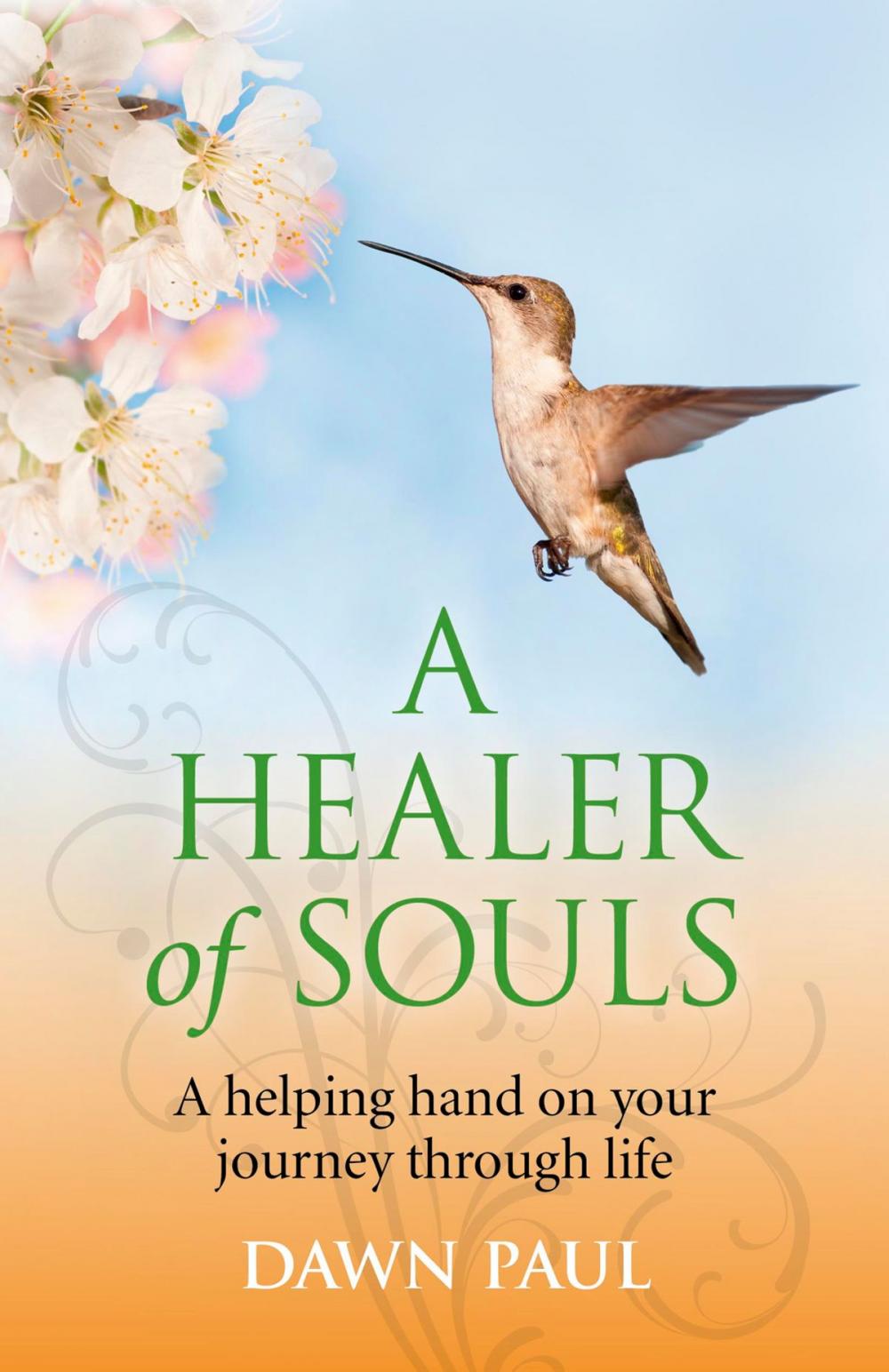 Big bigCover of A Healer of Souls