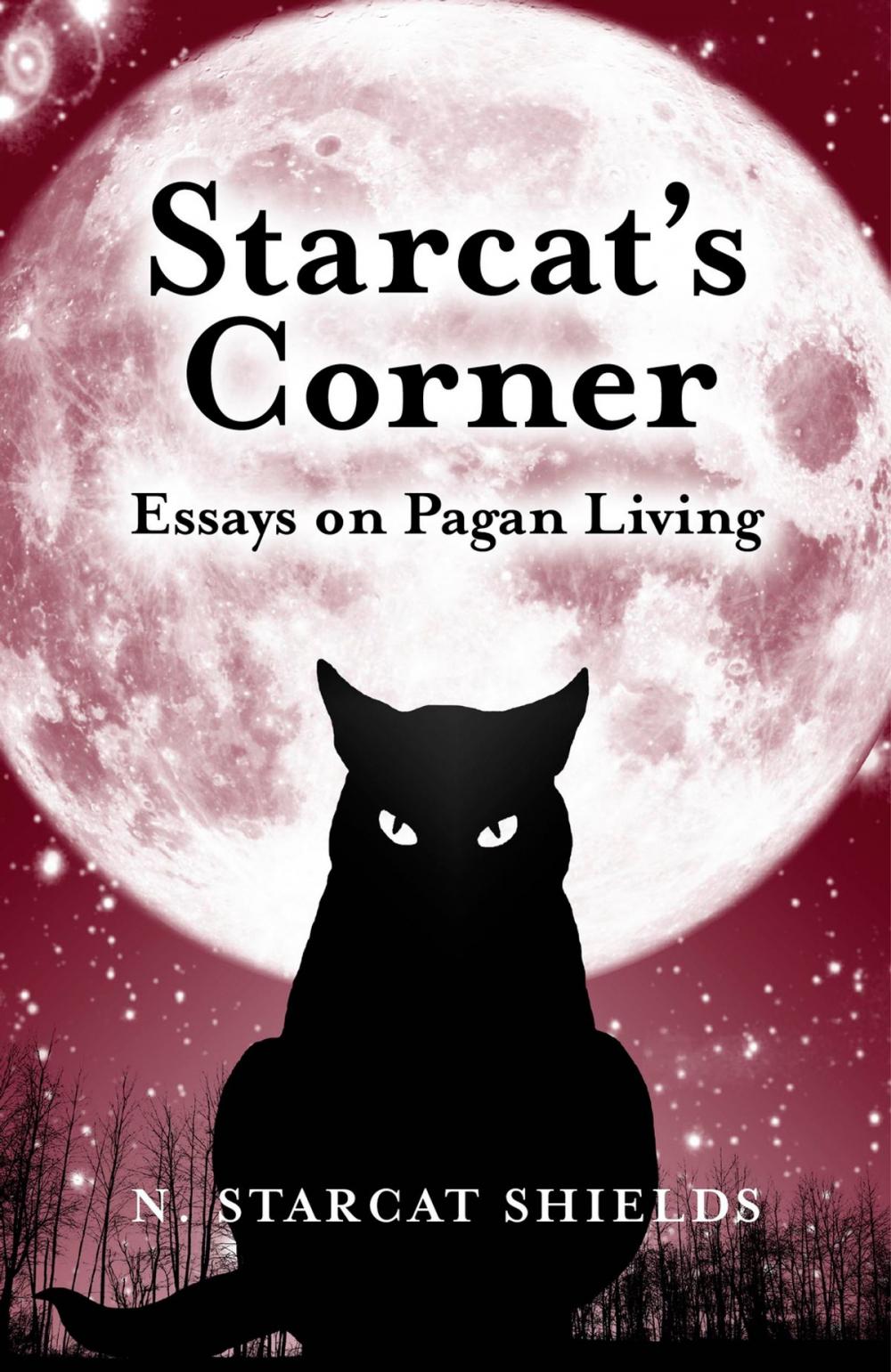 Big bigCover of Starcat's Corner