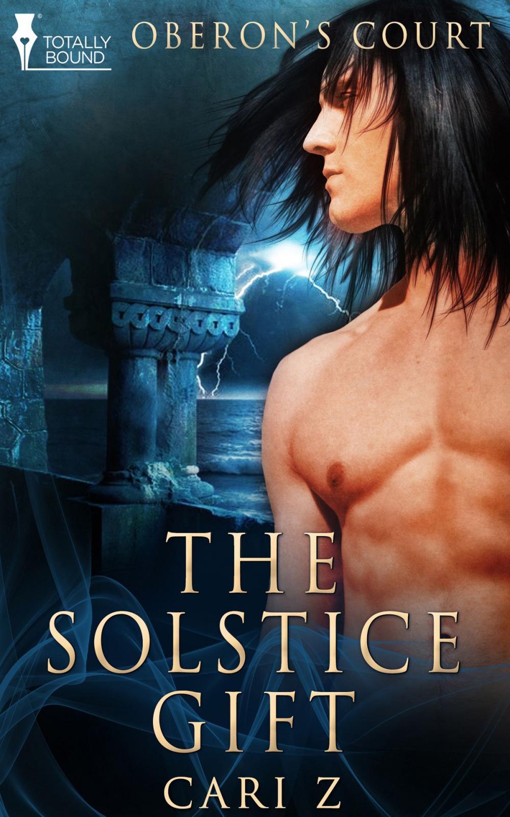 Big bigCover of The Solstice Gift