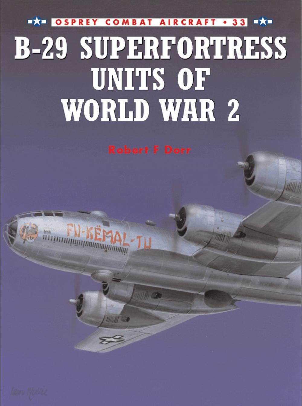 Big bigCover of B-29 Superfortress Units of World War 2