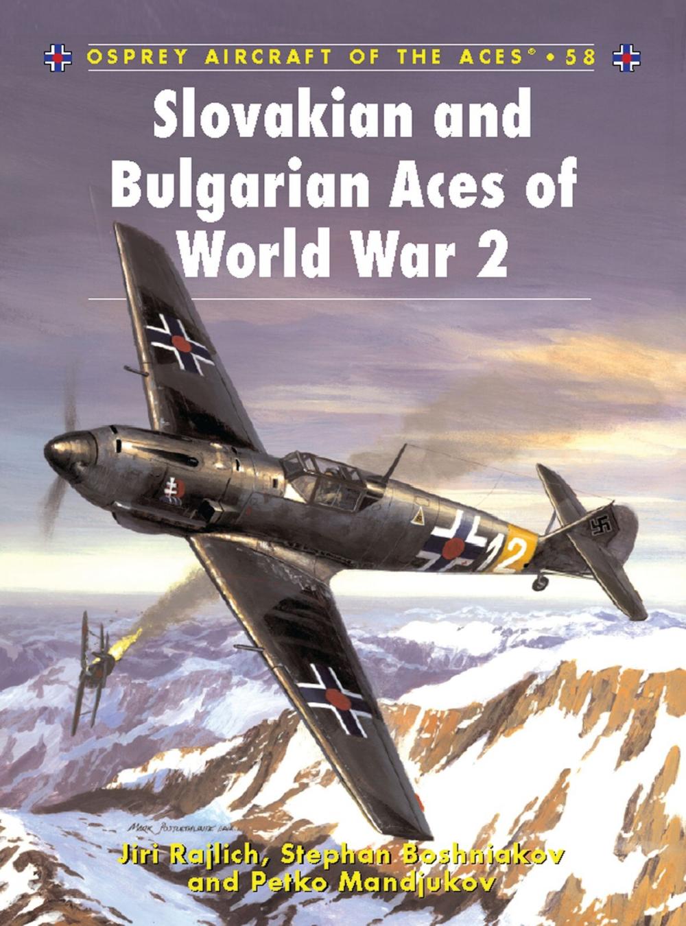 Big bigCover of Slovakian and Bulgarian Aces of World War 2