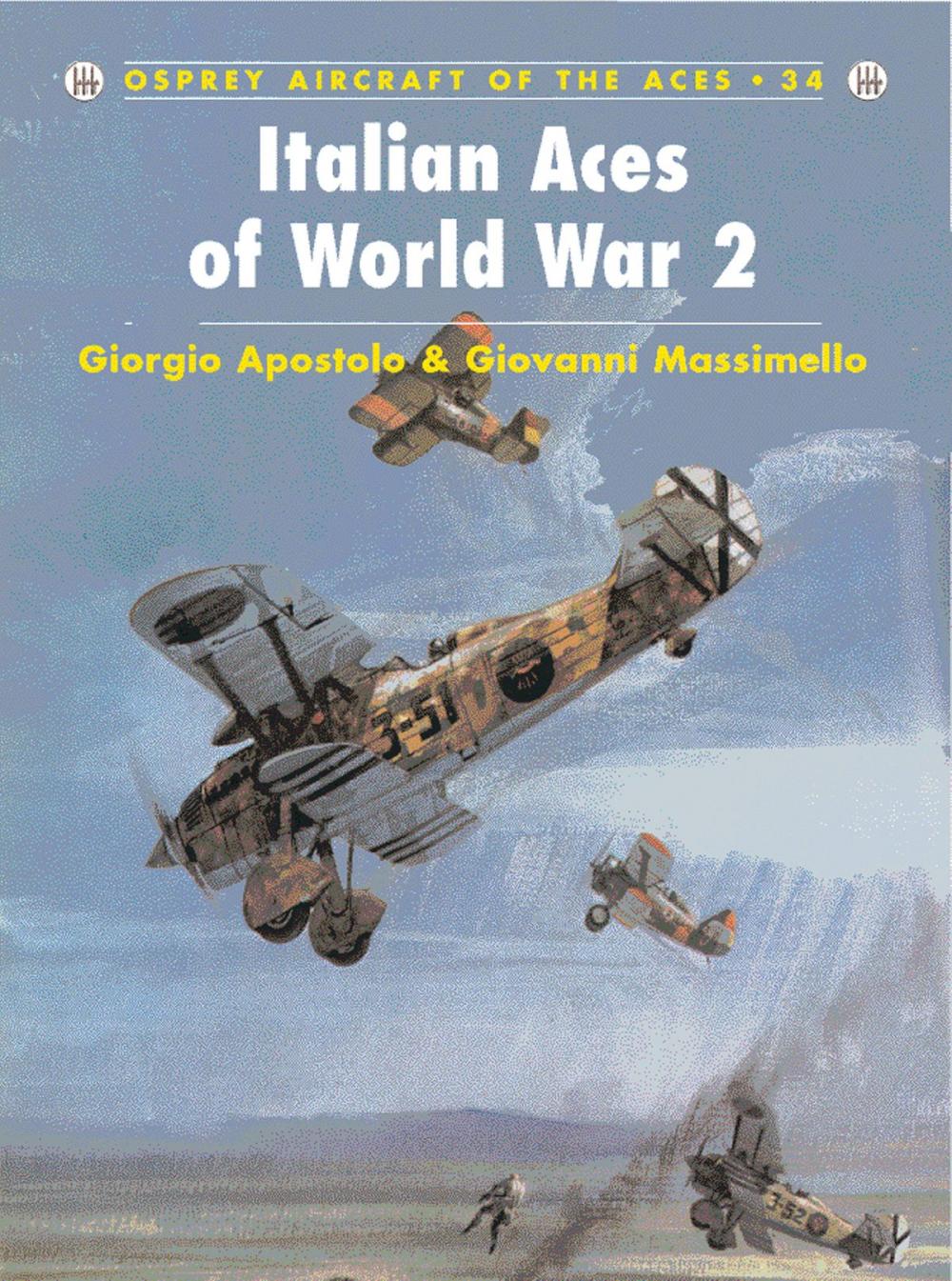 Big bigCover of Italian Aces of World War 2