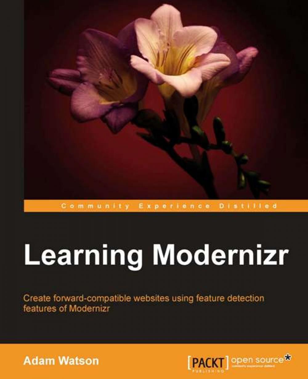 Big bigCover of Learning Modernizr