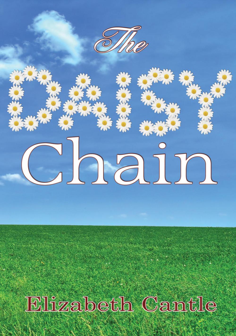 Big bigCover of The Daisy Chain