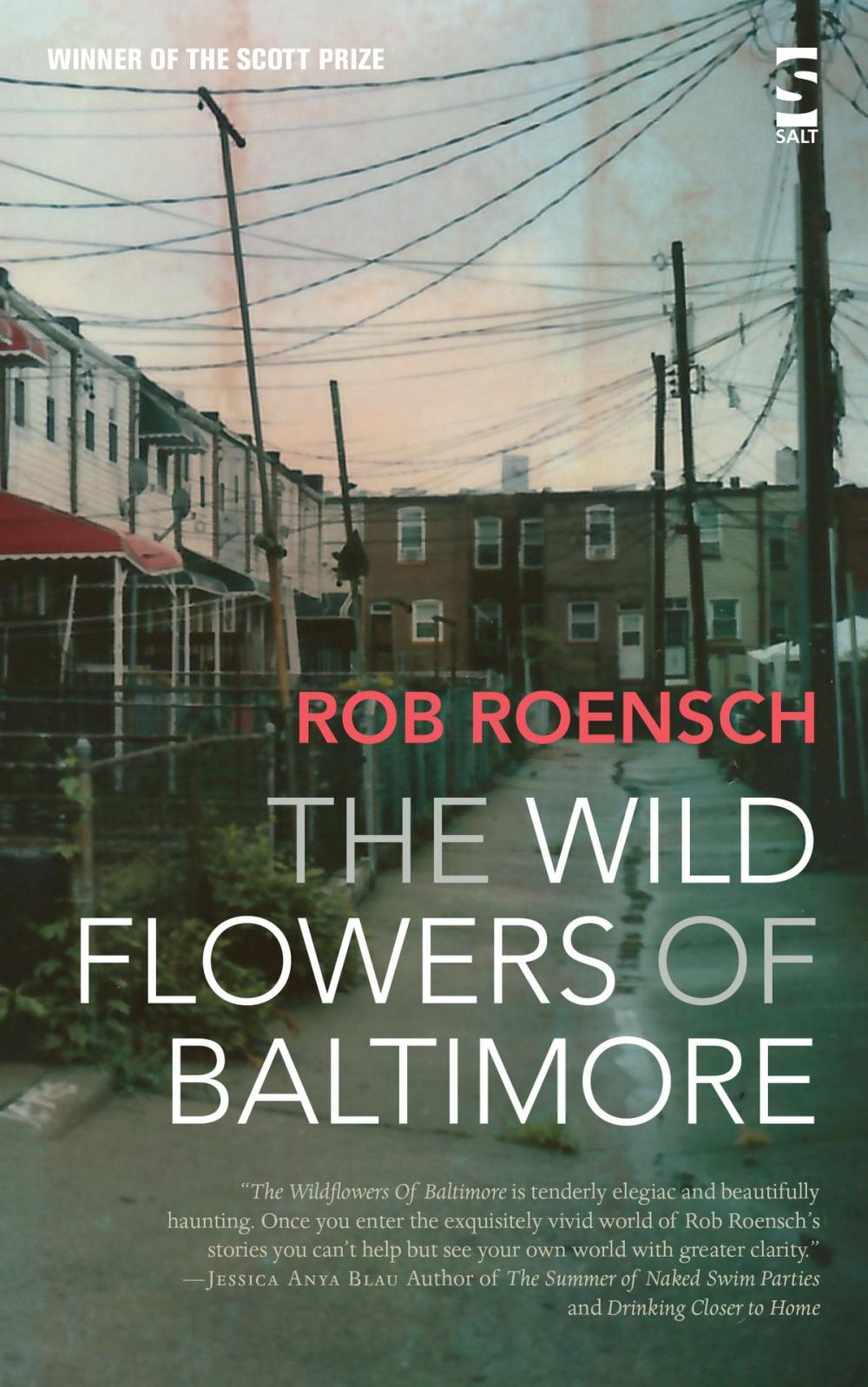 Big bigCover of The Wildflowers of Baltimore